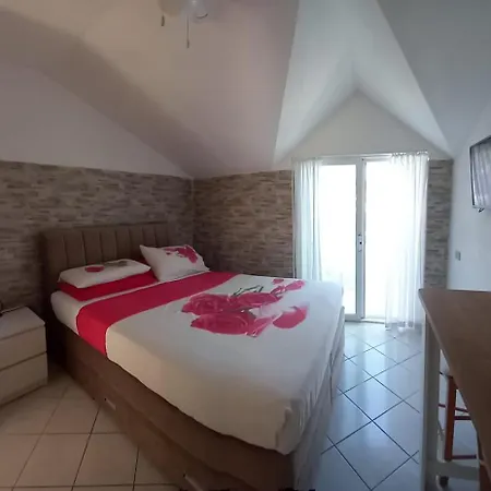 Rosa * Вела-Лука