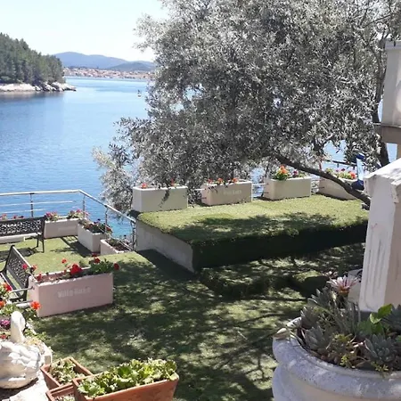 Rosa Vela Luka