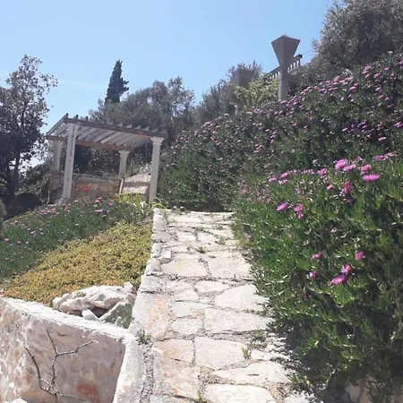 Rosa * Vela Luka