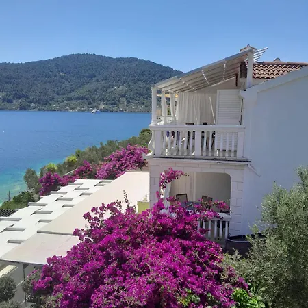 Rosa Vela Luka